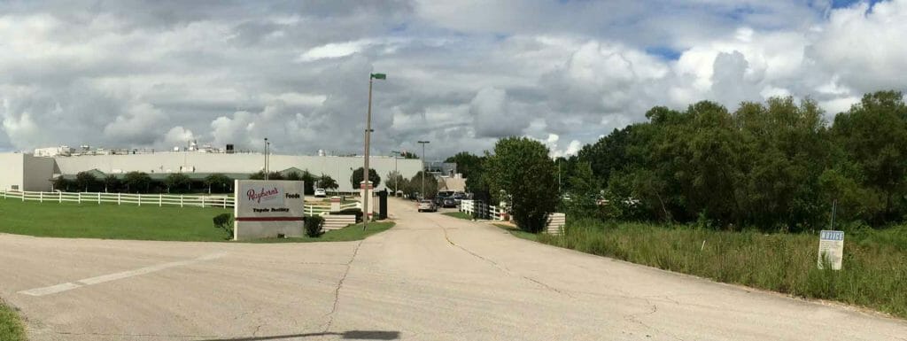 Rayberns 1 Rayberns 1