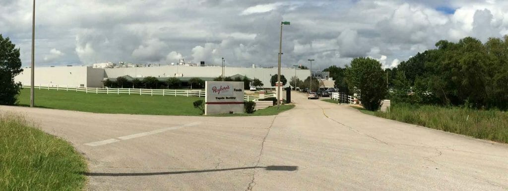 Rayberns 3 Rayberns 3